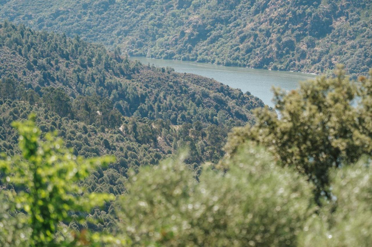 Casa Das Arribas - Rio Douro Aos Seus Pes Bemposta  Exterior foto